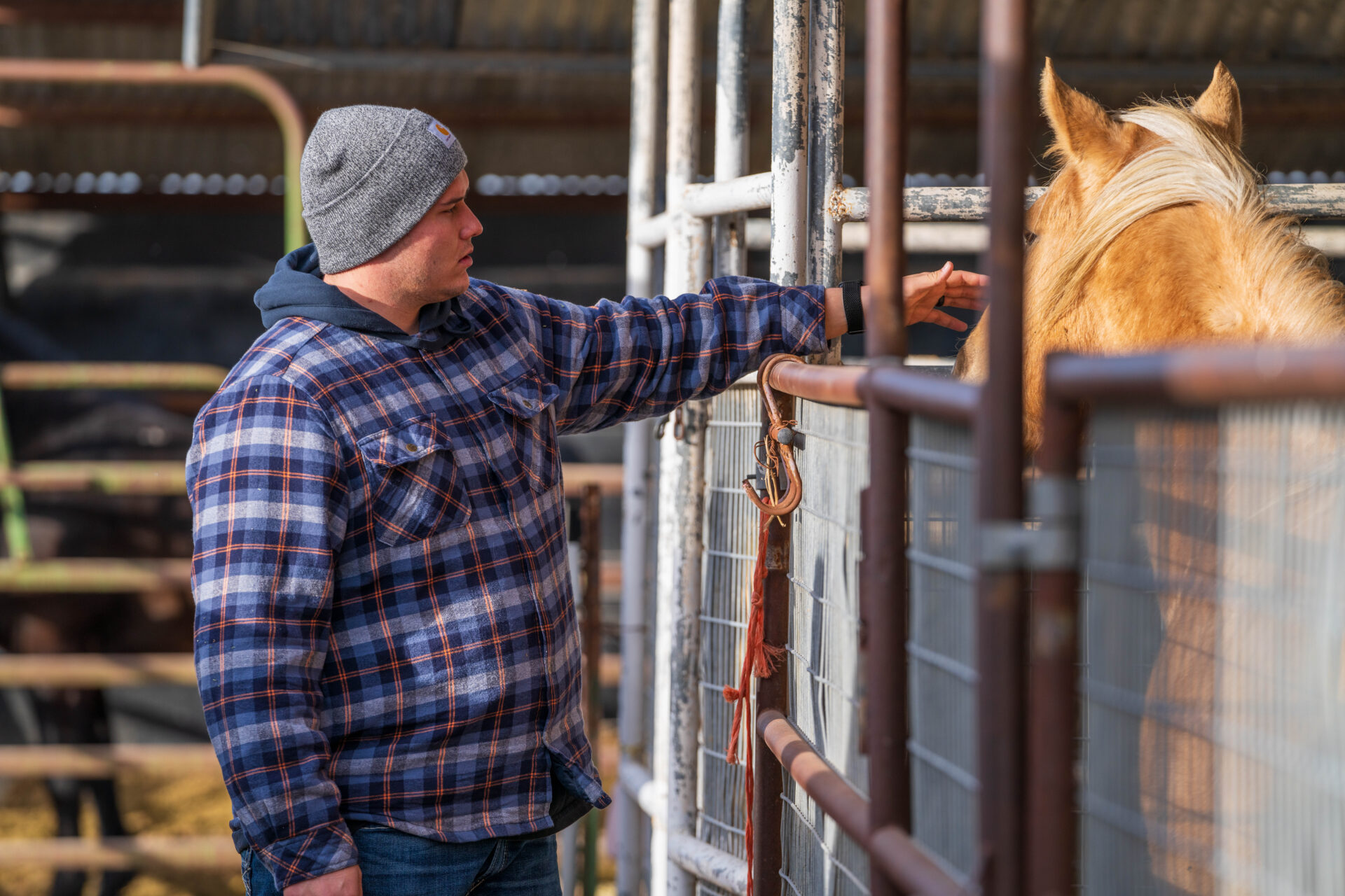 Brandon's Story of Recovery at Mountain Valley