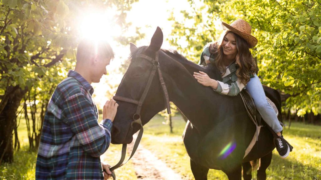 Building Trust with Horses