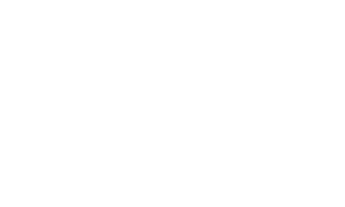 Mountain Valley white logo
