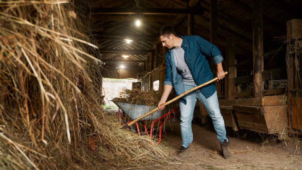 The Connection Between Hard Work and Lasting Sobriety for Men
