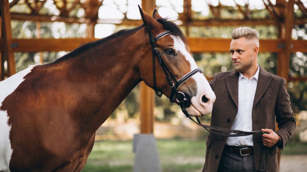 Equine therapy pricing
