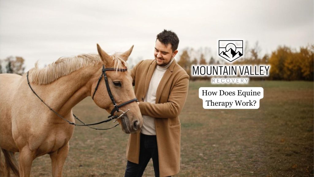Equine Therapy - what to expect