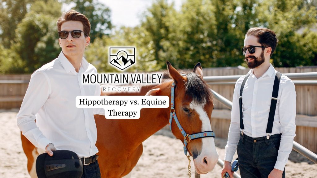 Hippotherapy and Equine Therapy difference