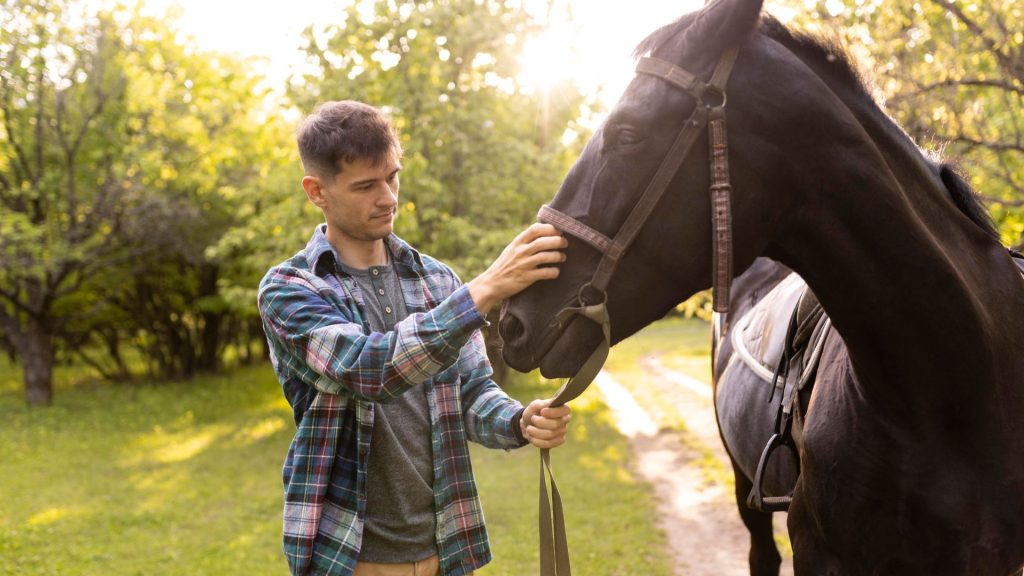 Equine Therapy and hippotherapy