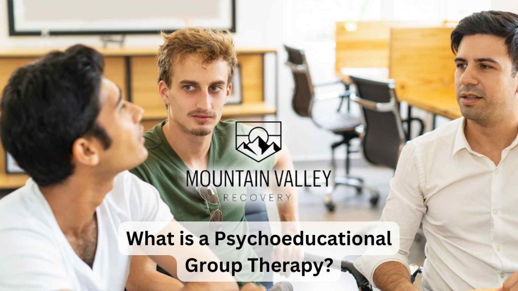 What is a Psychoeducational Group Therapy