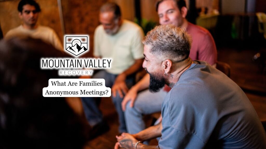 What Are Families Anonymous Meetings? 2 Families Anonymous Meetings