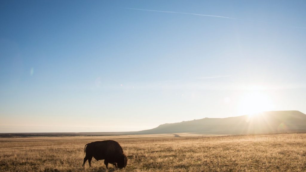 alcohol addiction hits men especially hard, as they often don't have the tools to deal with it