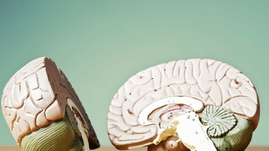 long-term rehab can help require your brain away from addiction