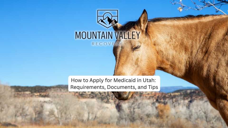 How to Apply for Medicaid in Utah Requirements, Documents, and Tips