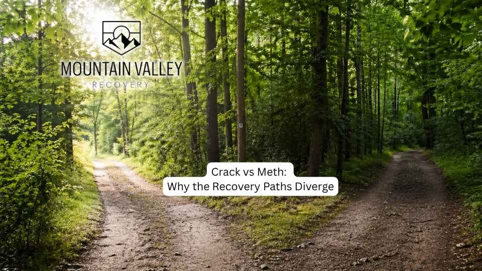 Crack vs Meth The Two Different Stimulant Cycles (and Why the Recovery Paths Diverge) hero image of two diverging paths in the woods.