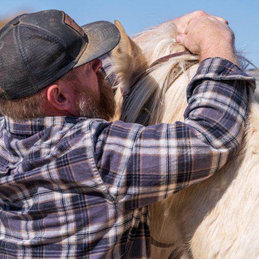 Caring for Your Horse