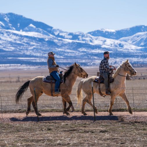Equine Therapy Rehab For Men