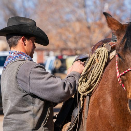 Equine Assisted Therapy