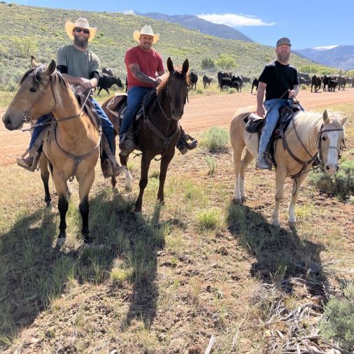 Horse Riding for Recovery