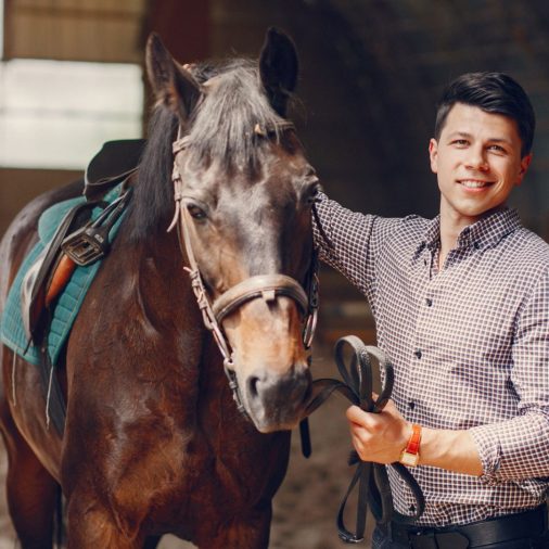 Equine therapy for addiction