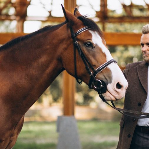 Equine therapy pricing