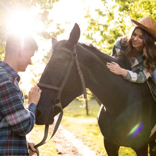 Building Trust with Horses